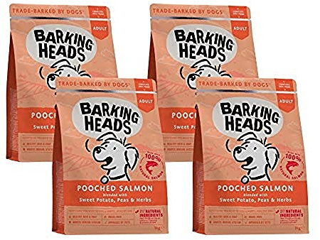 Barking Heads Complete Dry Dog Food 1kg x 4 - Adult All Hounder Hair Necessities Salmon - Natural Grain Free Hypoallergenic for Skin & Coat - Vet Approved
