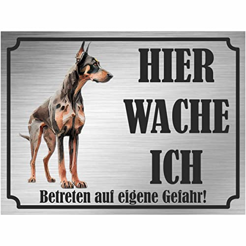 INDIGOS UG - Dobermann - Schild bedruckt - Hier wache ich - Aluverbundplatte Edelstahl Look - ab 20x15 cm - Spruch - Deko Geschenkidee für Ihren Hund - Zaun - Türschild
