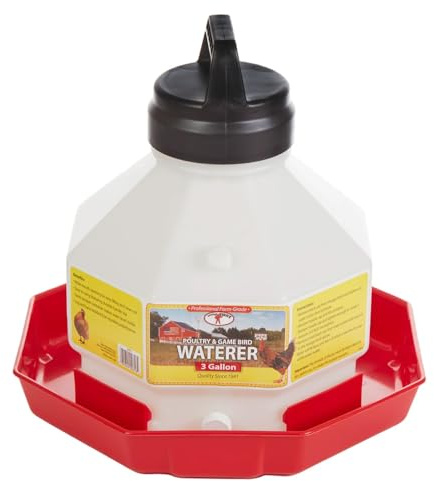 Little Giant® Plastic Poultry Waterer | Heavy Duty Plastic Gravity Fed Water Container | Easy to Fill | Snap on Jar | 3 Gallons