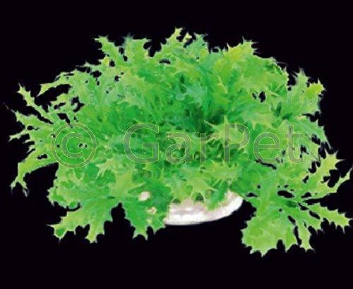 Aquarium Wasserpflanzen Kunststoff 10 cm