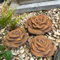 Radami 3 er Set Stein Rose Steinrose Rosenblüte Blüte Blumen Steinguss frostfest wetterfest Garten Deko Rost Metall Optik Handarbeit/aufwendig von Hand bemalt