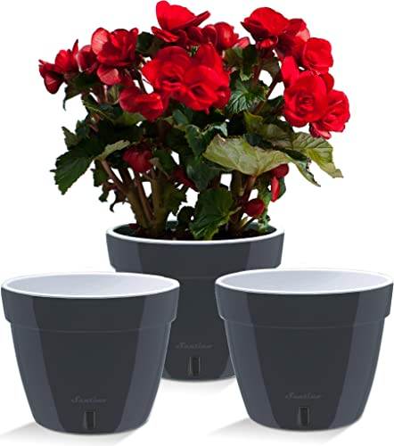 Santino ASTI 3er Set 34CM Selbstwässernder Blumentopf mit Wasserstandsanzeiger für Anlagen, Blumen, Kräuter (Ø 34 cm, H 28 cm, 18L - Anthracite/White)
