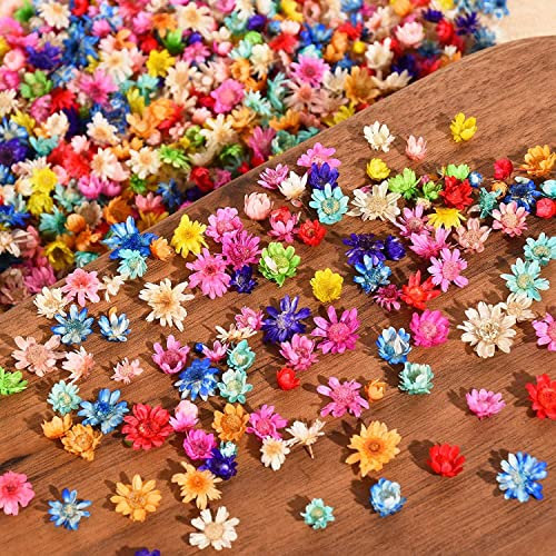 850 PCs Dried Flowers for Resin, Mini Flowers for Crafts, Colorful Natural Dried Flowers for Nail Jewelry Candle Scrapbook, DIY Decorations