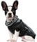Hundemantel mit Geschirr - Hundejacke für mittelgroße Hunde Winter - Wasserabweisender & Warmer Wintermantel Winterjacke mit Pelzkragen & Reißverschluss Grau 2XL