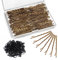 200 Stück Haarnadeln, Bobby Pins mit 100 Stück Haargummis, Sehr Stabil Hochsteckfrisuren Zubehör, Metall Frisuren Zubehör, Haarnadeln Hochzei Haarklemmen für Damen Mädchen Kinder Friseursalon -Gold