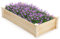 COSTWAY Raised Garden Bed, Rectangular Wooden Elevated Planter Box with Open Bottom, Indoor Outdoor Vegetable Fruit Flower Herb Growing Box for Backyard, Patio (120 x 60 x 25 cm)
