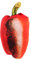 UPKOCH Simuliertes Lebensmittelkissen Großes Tomatenkissen Burger-Kissen Toastbrotkissen Grüne Paprika Frisch Burgerkissen, Das Sich Für Ihren Kopf Öffnen Lässt Burrito-Kissen Plüsch