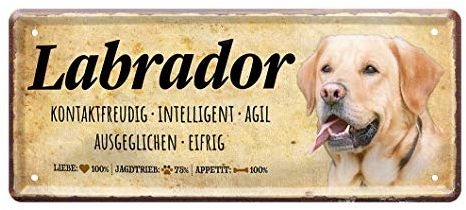Blechschild Labrador - Deko Metallschild Hunderasse Wesen Charakter - Labrador Retriever Hund Zubehör - Geschenk Labrador Hunde Besitzer Züchter Liebhaber - Dekoration Hundehütte Körbchen - 28x12cm