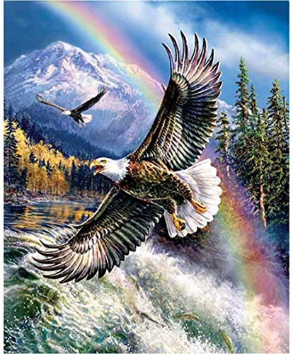 Pentoa Diamond Painting Tier Set Zubehör, Diamant Painting Bilder Adler, Full DIY Crystal Strass Stickerei Home Wand Decor Gemälde Kreuzstich Diamond Wall Dekoration 30×40cm