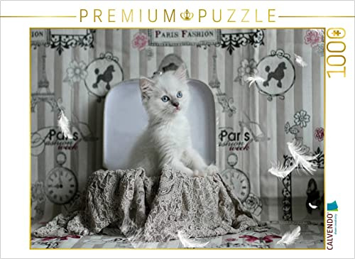 CALVENDO Puzzle EIN Motiv aus dem Kalender Samtpfoten Momente mit Shabby Chic & Vintage Flair | 1000 Teile Lege-Größe 64 x 48 cm Foto-Puzzle für glückliche Stunden