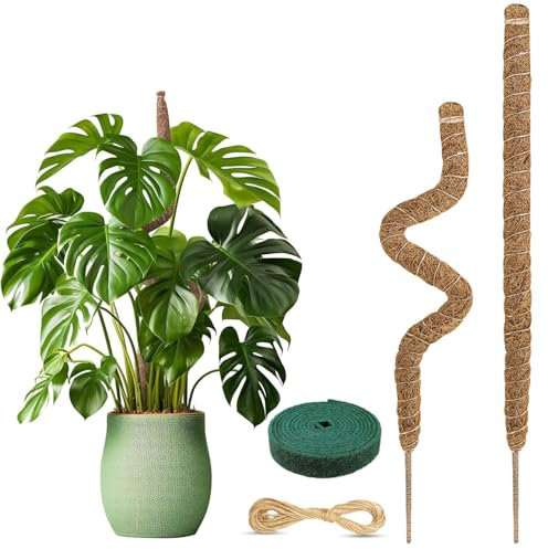 Ianulus 2 Stück Monstera Rankhilfe, Pflanzstab Kokos Moosstab, Biegsame Moosstäbe für Pflanzen, Monstera Stab mit Zubehör, Moosstab-Set für Kletterpflanzen Pflanzenstütze (90cm)