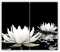 Planche à Découper en Verre Trempé 2x30x52 cm Contact Alimentaire Modernité Bords Polis Avec Impression Décoration Pieds Antidérapants Résistant à la Chaleur Symétrique - Nénuphars