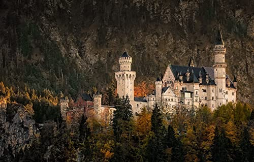 LHJOYSP Spiel mädchen 3D Puzzle 1000 Teile Die Stadt Neuschwanstein, Südwestbayern, Deutschland, Monat 75x50cm