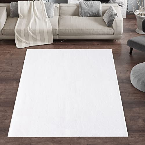 Carpetsale24 Hochflor Teppich Wohnzimmer Moderne Einfarbig Design Creme 120 x 160 cm - Flauschiger Teppich Schlafzimmer Shaggy Pflegeleicht und Extra Weich - Waschbarer Teppich Plüsch Felloptik