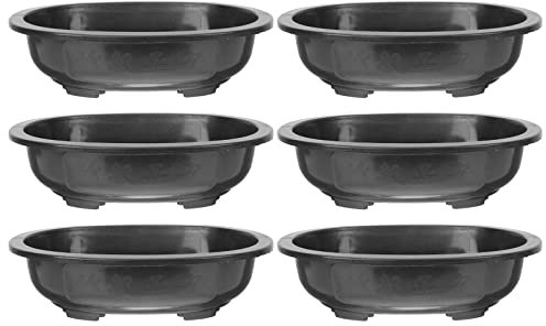 GANAZONO 6PCS Bonsai Training Pots Oval Plant Container Deep Flower Pot with Drainage Hole for Home, Garden, Balcony
