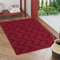 Biscpro Fußmatte Innen Außen Waschbar eingangsteppich innen Schmutzfangmatte rutschfest,Türmatte Innen Teppich für Eingang, Patio, Flur, Garten, Innen und Außen (Rot, 60 x 90 cm)