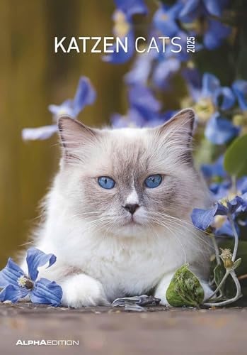 Alpha Edition - Katzen 2025 Bildkalender, 23,7x34cm, Wandkalender mit Platz für Notizen und vielen Infos, schöne Katzen-Bilder, deutsches Kalendarium und Ferientermine DE/AT/CH