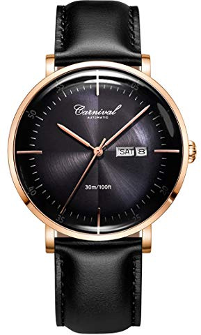 TEINTOP Automatik Uhr Herren Mechanische Japanische Bewegung Gebogen Kristall