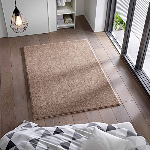 Kurzflor Flachgewebe Teppich für Wohnzimmer, Kinderzimmer und Schlafzimmer Einfarbig Uni Taupe Braun 160x220 cm