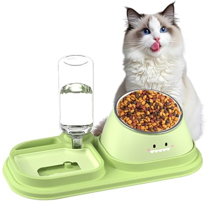 AMSGANK Cat Food and Water Bowls Set, Tilted Stainless Steel Bowl with Stand and Water Dispenser, Slow Feeder Cat Bowl for Pet Cats Small Dogs (Green)
