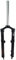 eXotic Rigid Carbon 66 cm MTB Gabel, Post Mount PM Disc & V Bremse, Schwarz, UD 44,5 cm