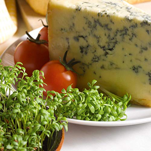 Suttons Cress Seeds - Curled, Vegetable Seed, Approx. 10,000 (27g) Seeds per Pack, Grow Your own, Ideal for Windowsills, Containers, Raised Beds, and Greenhouses