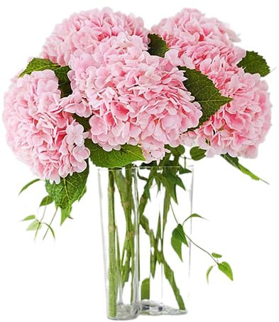 Nvzi Lot de 3 grandes fleurs d'hortensia artificielles de 53,3 cm au toucher réaliste (rose)