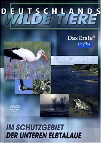 Deutschlands wilde Tiere - Untere Elbtalaue