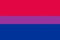 Flagge Fahne Bi Pride 90x150cm