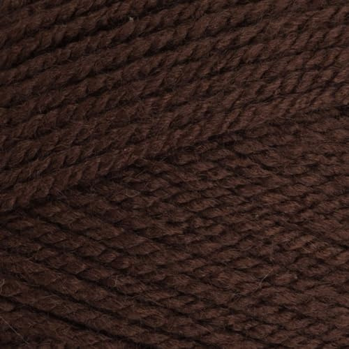 Stylecraft 9051004 Special Aran Dark Brown (1004) Yarn - 100g