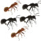 Fenteer Realistische Tier Insekten Kühlschrankmagnet Garten Dekor Set, 5pcs / Set - Ameise