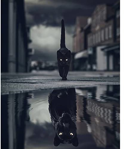 Malen nach Zahlen für Erwachsene, DIY-Tierreflexion im Wasser, schwarze Katze oder schwarzer Panther, Leinwand-Ölgemälde-Set, Acryl-Aquarellfarbe für Anfänger, Kinder, Zuhause, Wandkunst-Dekor