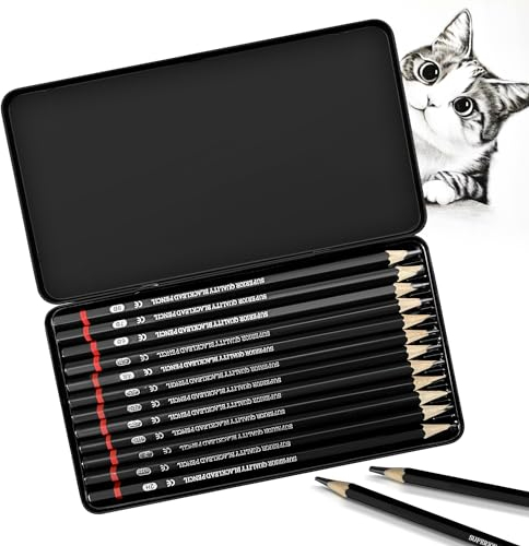Bleistift Set, 12-Teiliges Zeichenstifte Set von 2H bis 8B, Bleistifte Zeichnen Sketch Bleistiftset mit Graphitstifte für Künstler, Kinder, Erwachsene, Zeichnungen, Skizzieren Liebhaberin (Typ 3)