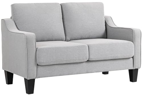 HOMCOM 2-Sitzer Stoffsofa mit Armlehnen, Dicker Polsterung und 2 Kissen, Modernes 2-Sitzer Sofa mit Holzrahmen für Wohnzimmer, Wohn- und Schlafzimmer, Hellgrau