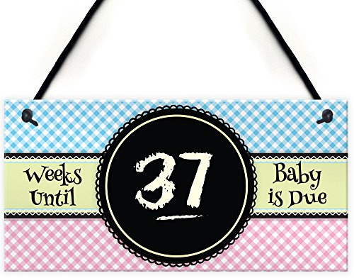 RED OCEAN Baby Due Countdown Chalkboard Pregnancy Gift Hanging Plaque Birth Boy Girl Sign