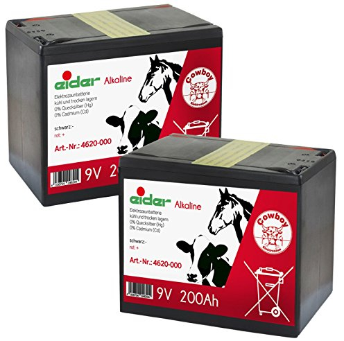 Eider Doppelpack: 2X 9V-Alkaline-Trockenbatterie 200 AH - Sehr Lange Laufzeit Bei geringem Verbrauch - Doppelpack kaufen und Sparen