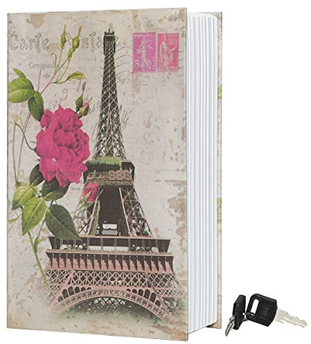 Diversion Book Safe Storage Box-Secret Safe with Security Key, Hidden Stash Box for Money, Jewelry Documents or Valuables