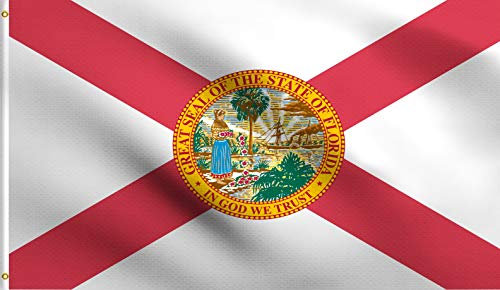 DMSE Flagge Florida, 60 x 90 cm, 100 % Polyester, 100D, UV-beständig, 61 x 91 cm