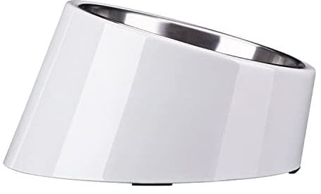 SuperDesign Gamelle inclinée à 15 ° pour Chiens et Chats, mangeoire pour Bouledogue à Angle incliné, antidérapante et Anti-déversement, Plus Facile à Atteindre la Nourriture M/1 Tasse Lac Vert
