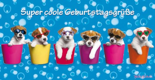 Keith Kimberlin Geburtstagskarte Boxer Hunde Welpen mit Sonnenbrille Panoramakarte 11x22 cm