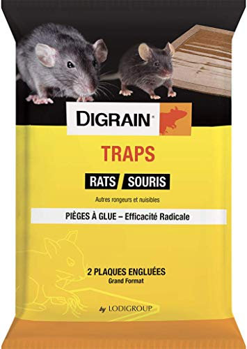 DIGRAIN Piège à Rat Piège à Souris Piege Attrape Souris Plaque Collante Piège à Glue Colle Puissante et Efficace - Produit Anti Rongeur Efficace sans Risque Produit Professionnel Anti Souris Anti Rat