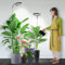 Garpsen Grow Light, Full Spectrum Plant Lights for Indoor Growing with 360° Gooseneck, 3 Colors Modes and 5 Dimmable Levels, 6/12/16H Timer, 65'' Height Adjustable Grow Lamp for Large Plants-[2Pack]