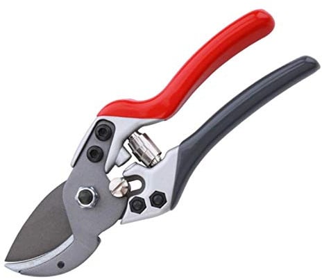 ABNNHK 8 Professionelle Gartenschere, scharfe Gartenschere, Gartenhandwerkzeug, Robustes Premium-Titan, für die Gartenarbeit