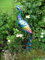 Westerholt Dekofigur Pfau, Metall, Bunt, 90 cm hoch, Vogel, Sculpture, Mehrfarbig