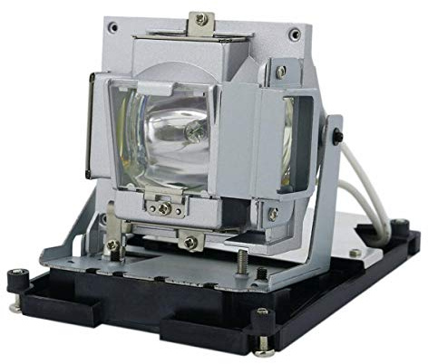 Lampada del proiettore della lampadina di ricambio 5J.J2N05.001 per BENQ SP840