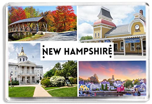 New Hampshire - US State - Souvenir Tourist - Fridge Magnet - Novelty Keepsake Gift