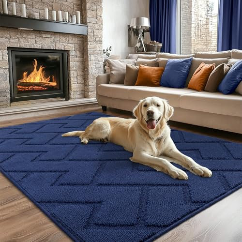 Biscpro Fußmatte Innen Außen Waschbar eingangsteppich innen Schmutzfangmatte rutschfest,Türmatte Innen Teppich für Eingang, Patio, Flur, Garten, Innen und Außen (Blau, 119 * 180)
