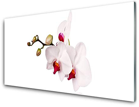 Tulup Glas Küchenrückwand – 100x50 cm Spritzschutz Glasrückwand Küchenwandpaneel Wandschutz Glasplatte Herdblende Nischenrückwand - Blumen Pflanzen