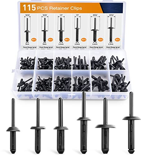 GOOACC Assortiment de 115 rivets pop universels en nylon automobile – 6 tailles et applications les plus populaires pour GM Ford Chrysler VW