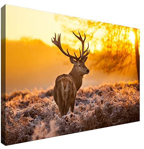 Estika Leinwand bilder - Hirsch - 60x40 cm, 1 teilige kunstdruck - Wandbilder wohnzimmer, schlafzimmer, Moderne wanddeko, Bild auf leinwand - Hirsch bilder - 1281A_1E